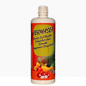 Fermasea